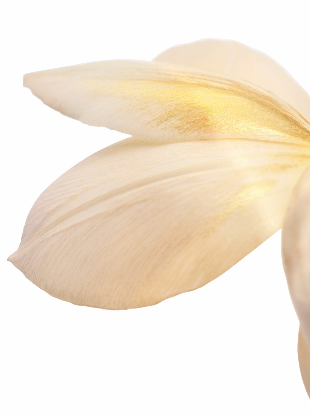 Dior J'adore - fleur-seule-2-1186x1351